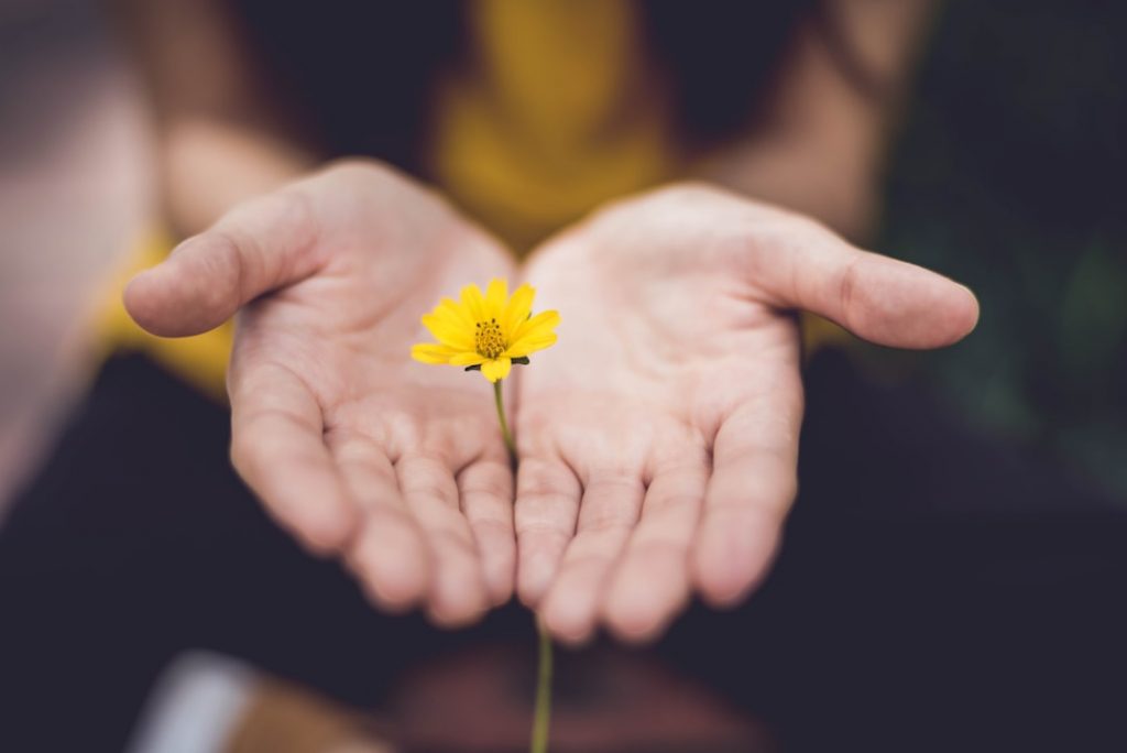 A person gently holds a small yellow flower with both hands cupped together, creating a feeling of care and tenderness. The background is softly blurred, focusing on the hands and flower.