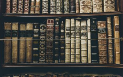 Crafting Dark Mode Choices for a Stylish Interface