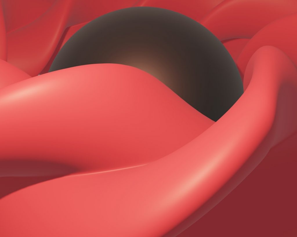 A smooth, shiny black sphere is partially enveloped by flowing, glossy red shapes, creating an abstract, fluid composition with soft highlights and shadows.