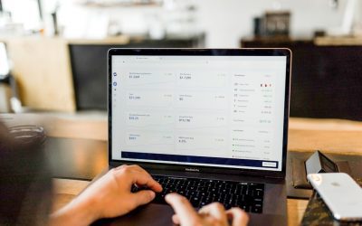 Choosing Between Custom CMS and WordPress