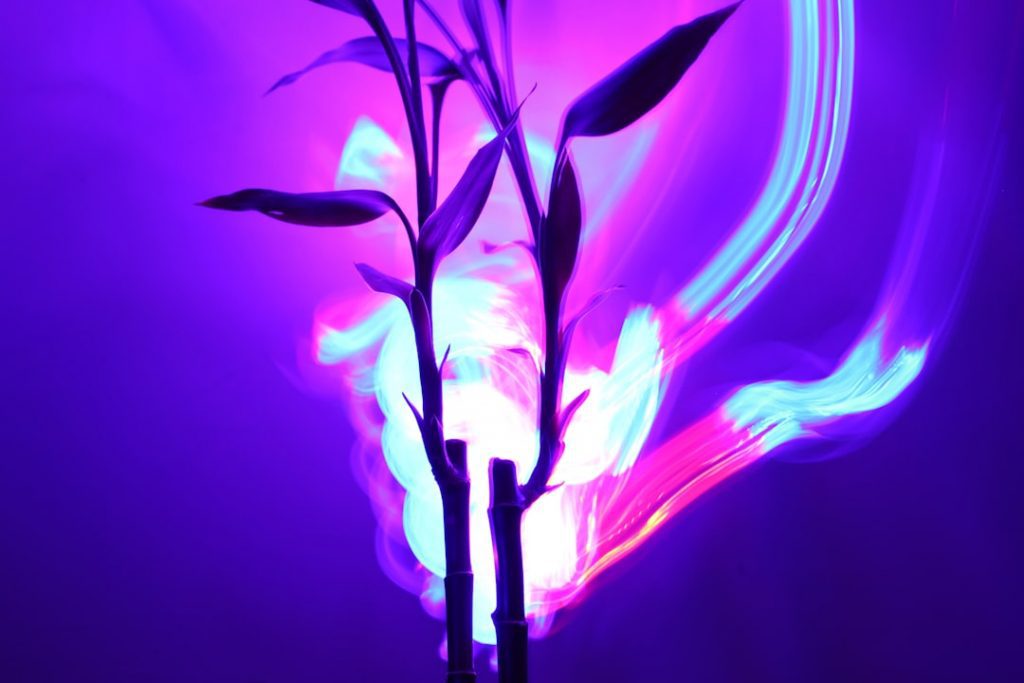 Two bamboo stalks with leaves are silhouetted against a vibrant purple background, illuminated by swirling neon light trails in blue, pink, and white hues.